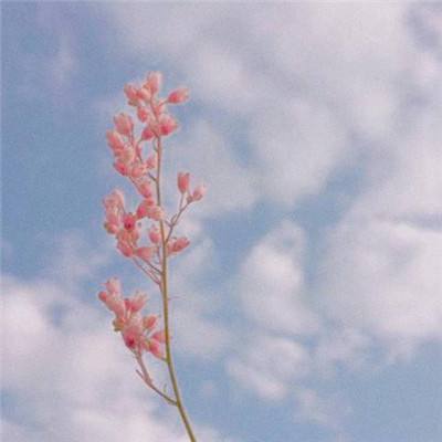 万博ManBetX手机版登录官网