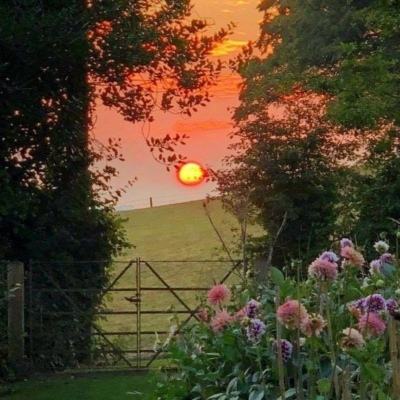 Welcome彩票中心注册大厅进入