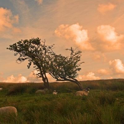 大只500注册下载