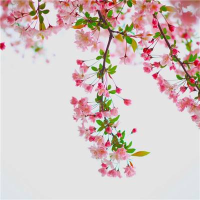 买球的app排行榜前十名推荐下载手机版